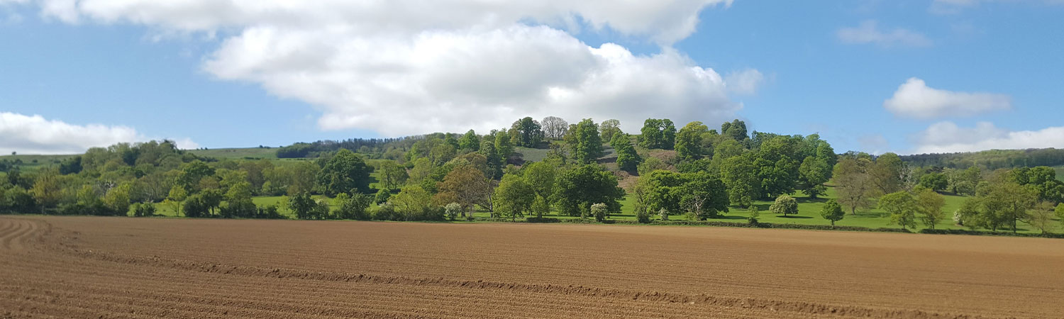 farm field