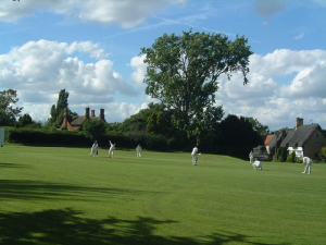 Green grass field